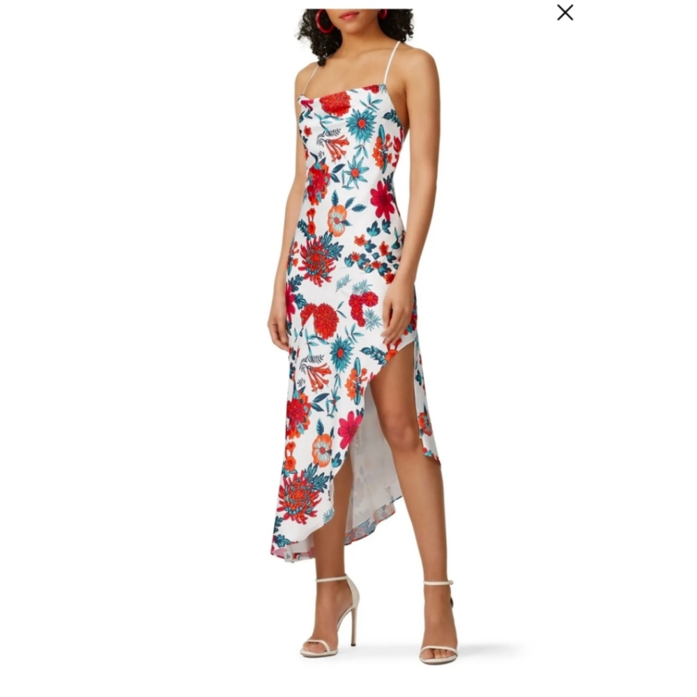 Haney Goldie Floral Dress size 4 NWT